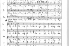 megbekeles_kapolna_bermeend-20150117182848-kapolnaszenteles-43