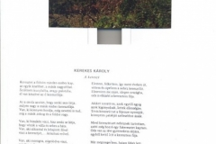 megbekeles_kapolna_bermeend-20150117182408-keresztszenteles-37