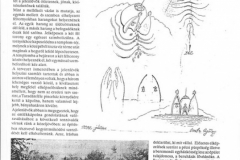 megbekeles_kapolna_bermeend-20150117181817-megallapodas-tervezoi-megbizas-42